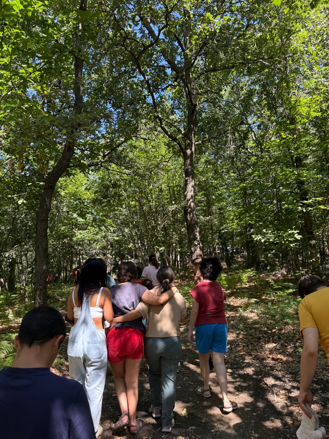 Gruppo di AttivaMente durante un'escursione sui sentieri dell'Etna